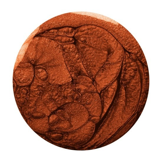 Cinnamon Brown